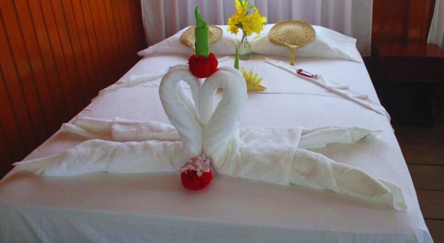 Номер Deluxe Amazon Curassow Lodge and Expeditions