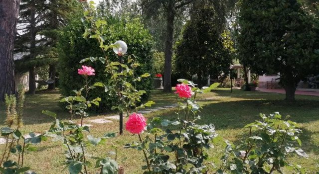 Номер Standard Villa Oasi