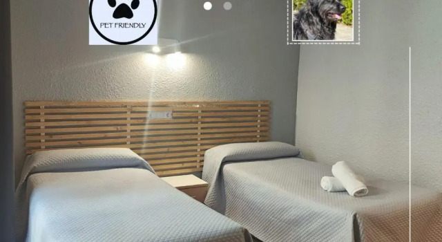 Двухместный номер Standard Hotel Acebo Plaza Mayor