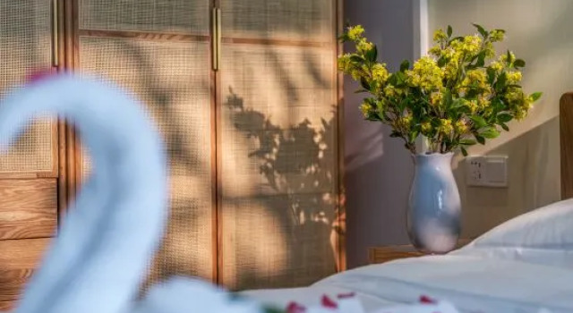 Люкс Deluxe ShiguangLi Homestay