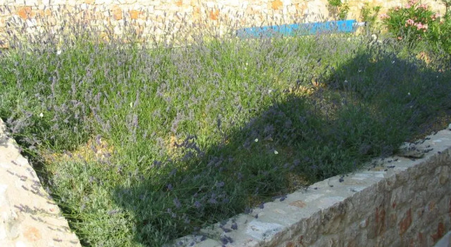 Вилла VinodolSun Villa Vallis