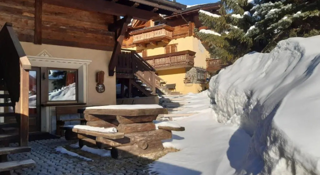 Apartment Chalet Garden