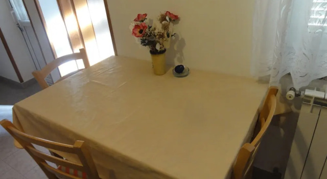 Apartment Bolko