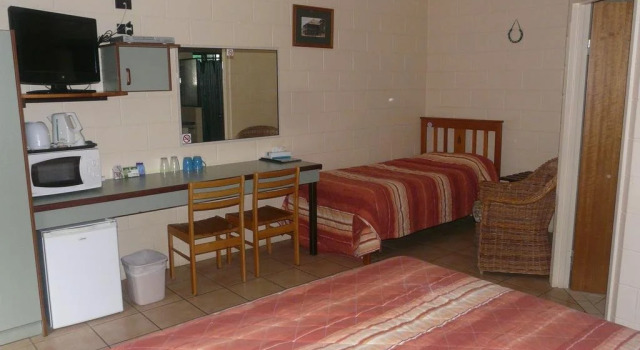Curtain Fig Tree Motel