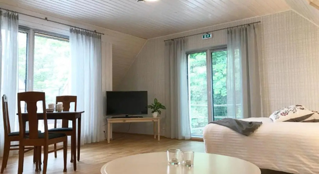 Студия с балконом SÖRWESPA Nature Resort