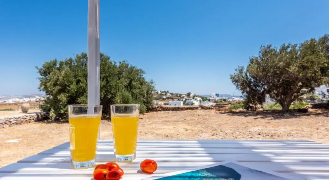 Студия Standard Plaka Suites