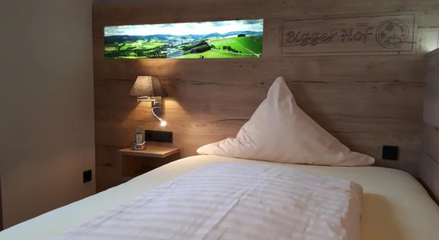 Номер Deluxe Hotel Bigger Hof - Wirtshaus Platzhirsch am Jahnplatz
