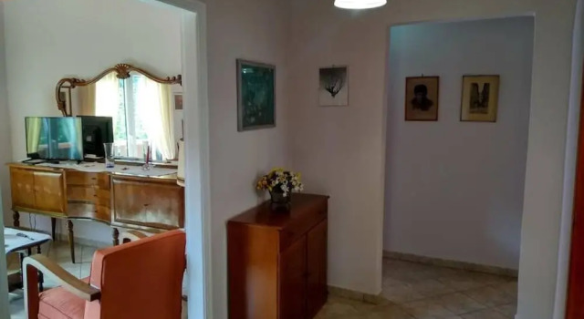 Aggelos House in Kalamitsi, Rezerwuj Dom wakacyjny Wille w Epir, Willa
