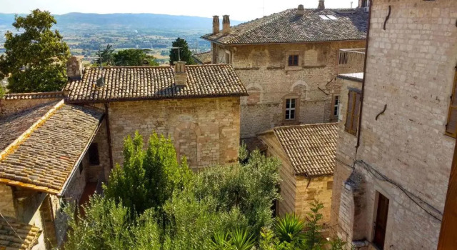 Standard- værelse Camere Calocci
