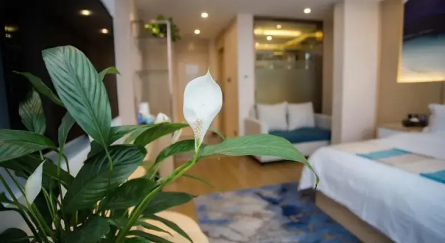 VX Heze Dingtao District Taoyi Road Hotel, Book Hotel SPA-hoteller i Dingtao, SPA
