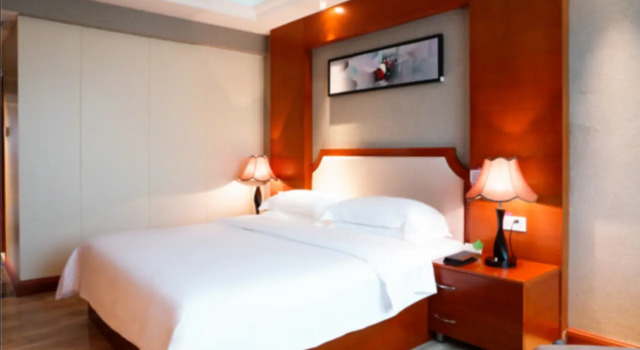 Номер Deluxe BORRMAN Hotel