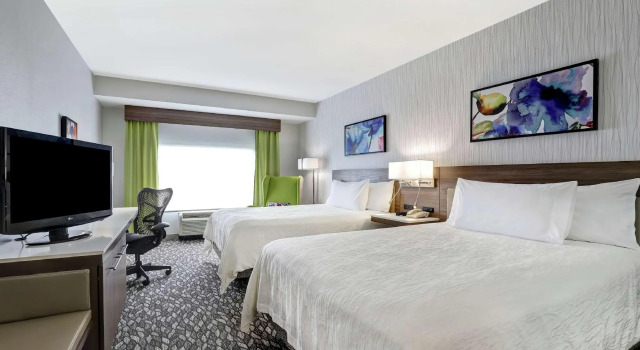 Четырёхместный номер Standard Hilton Garden Inn Toronto/Ajax