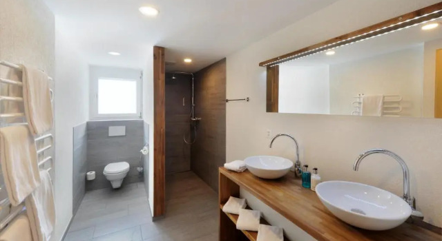 Шестиместный номер Standard с видом на горы Alpinhotel Bort
