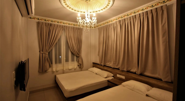 Junior Suite Shamrock Garden