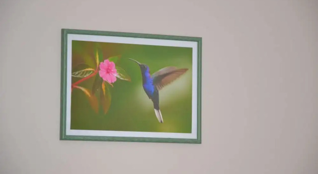 Двухместный номер Comfort Le colibri bleu