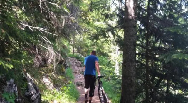 Golubović Apartments, Book Lejlighed Billige hoteller i Zabljak
