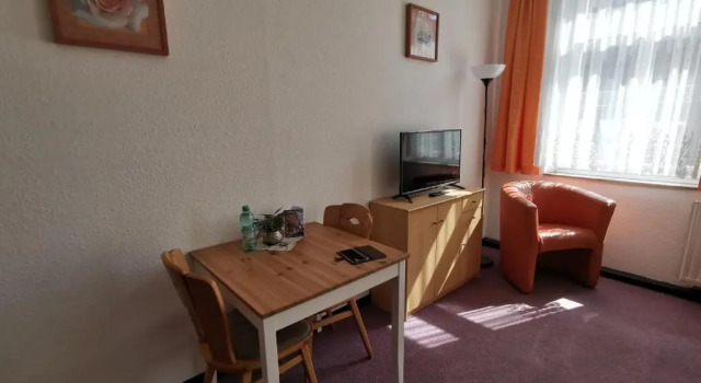 Двухместный номер Standard Hotel-Pension zum Hirsch
