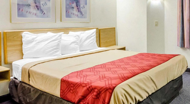 Номер Standard Econo Lodge London North