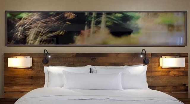 Четырёхместный номер Standard с красивым видом из окна Viewline Resort Snowmass, Autograph Collection
