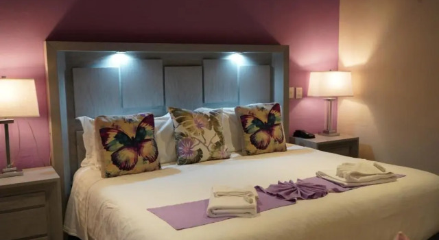 Двухместный люкс Superior Hotel Casa Don Quijote