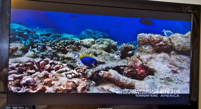Marina Tower Waikiki, Boek Hotel Waikiki 