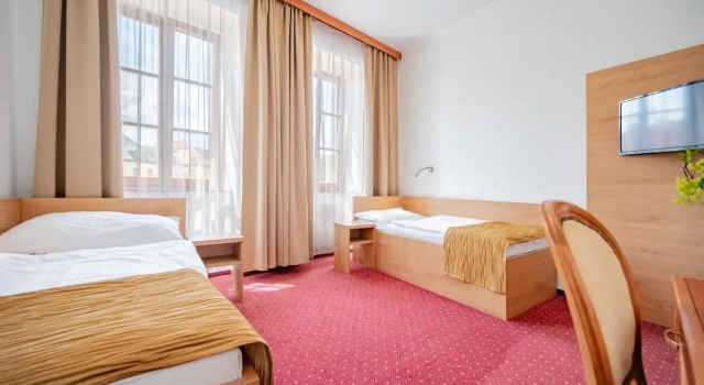 Номер Deluxe Hotel U Královny Elišky
