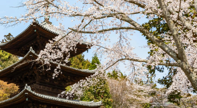 Miidera Onjo-ji, Rezervovat Hotel Business hotely v Shiga, 4* 5*