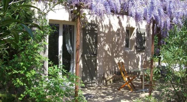 La Cigale au Bord de Leau