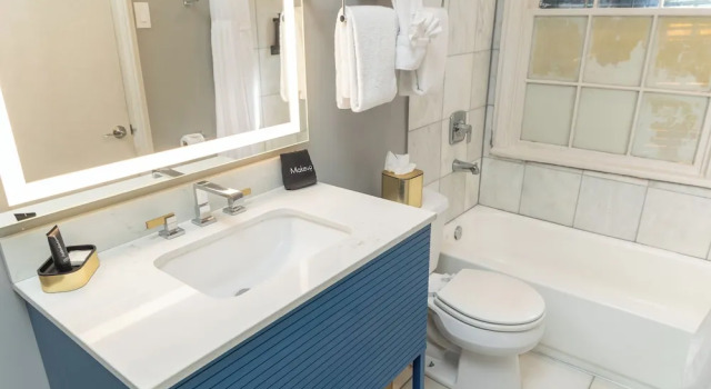 Люкс Grand Lamothe House Hotel a French Quarter Guest Houses Property