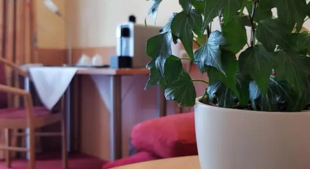 Апартаменты Apparthotel Garni Superior Simsseeblick