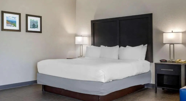 Люкс Comfort Inn & Suites Greer - Greenville