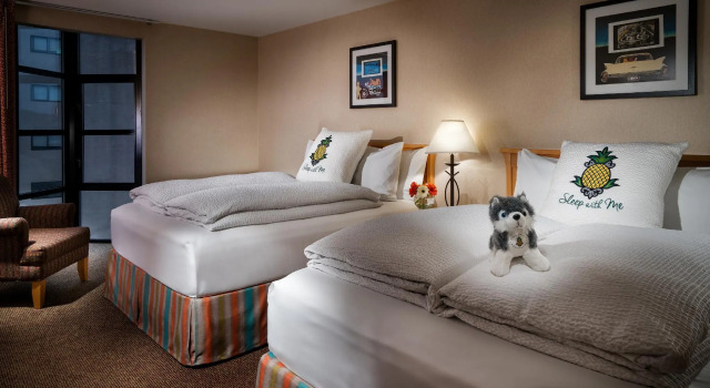 Четырёхместный номер Deluxe Staypineapple, University Inn, University District Seattle