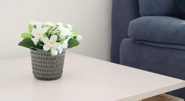 Апартаменты с балконом Coral By Albufeira Rental