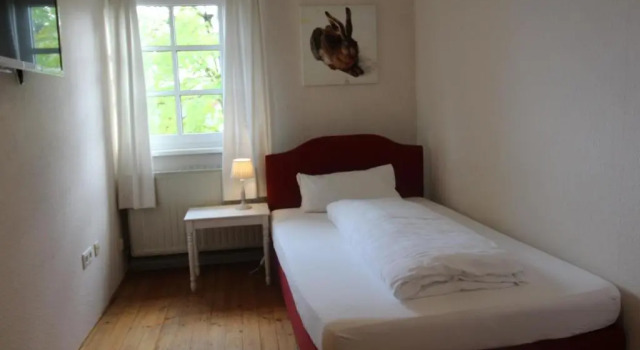 Habitación Estándar Hotel-Gasthof Opel