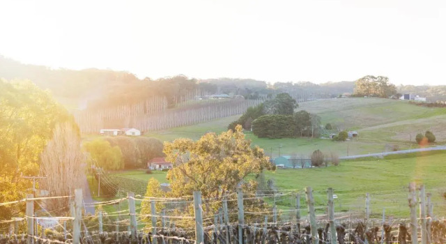 The Other House, Buchen Sie Villa Adelaide Region Adelaide