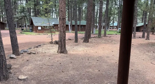 Номер Standard Lake of the Woods Resort