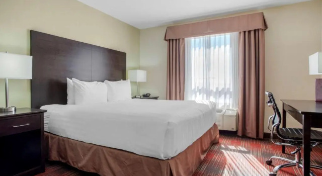 Номер Standard Best Western Plus Red Deer Inn & Suite