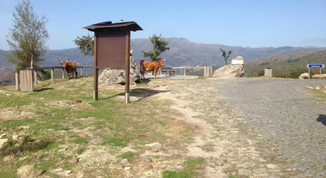 Шале c 1 комнатой Cantinho Redondo Gerês