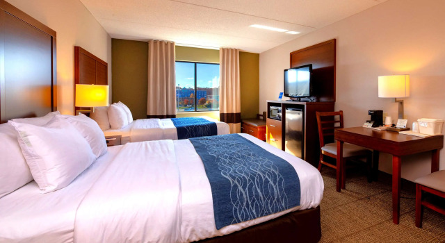 Standard Vierer Zimmer Comfort Inn Near Quantico Main Gate North
