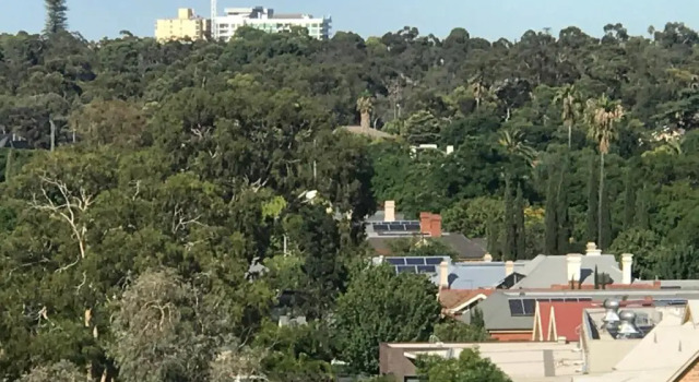 Номер Standard Tashas Apartments on Warwick