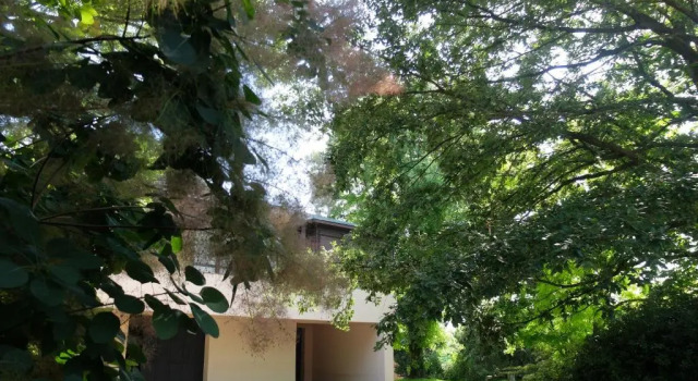 Номер Standard B&B Villa dei Calchi - Suite Room di Charme