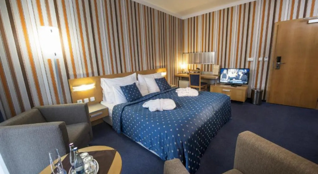 Двухместный номер Standard Hotel Blue Bratislava