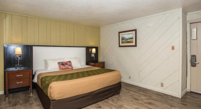 Двухместный номер Deluxe Fabulous Chalet Inn