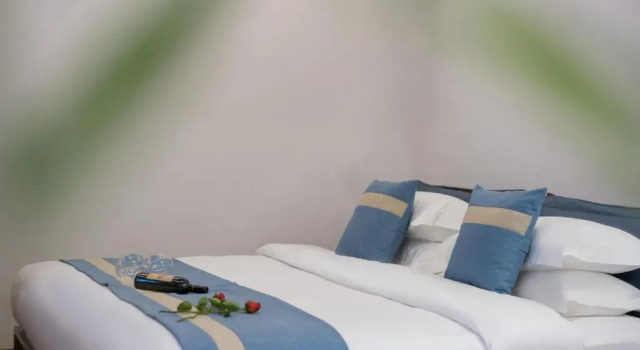 Camera Deluxe Artistic-Suite