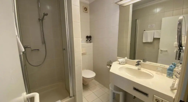 Двухместный номер Standard Hotel Hessischer Hof