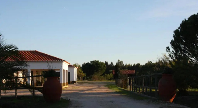 Monte Macário Alojamento Local, Buchen Sie Pension Hotels in Ribatejo mit Pool, Schwimmbad