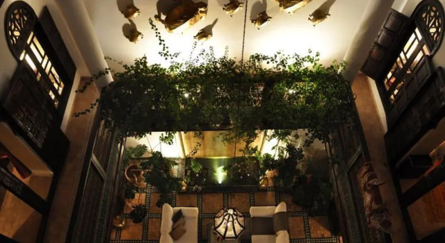 Riad 41