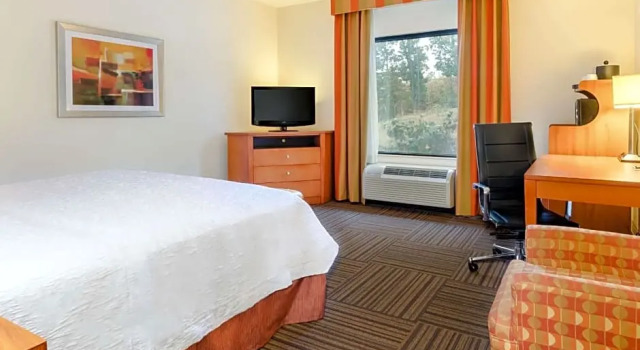Studio Hampton Inn Ringgold-Ft. Oglethorpe