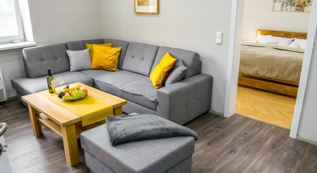 Apartment in downtown