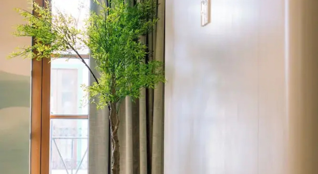Номер Superior Lotus Home Corner & Rooftop